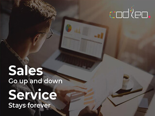 Sales go up and down, Service stays forever